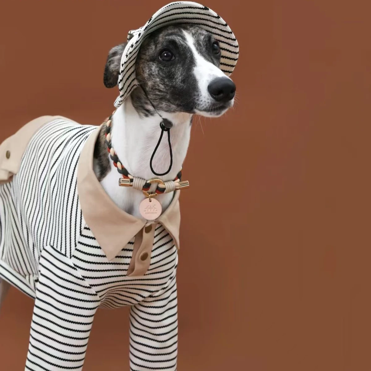 Polo a rayas con sombrero para Greyhound, abrigo de algodón suave de manga larga, traje para medios pequeños, perros Whipbit grandes, primavera y verano - imagen 4