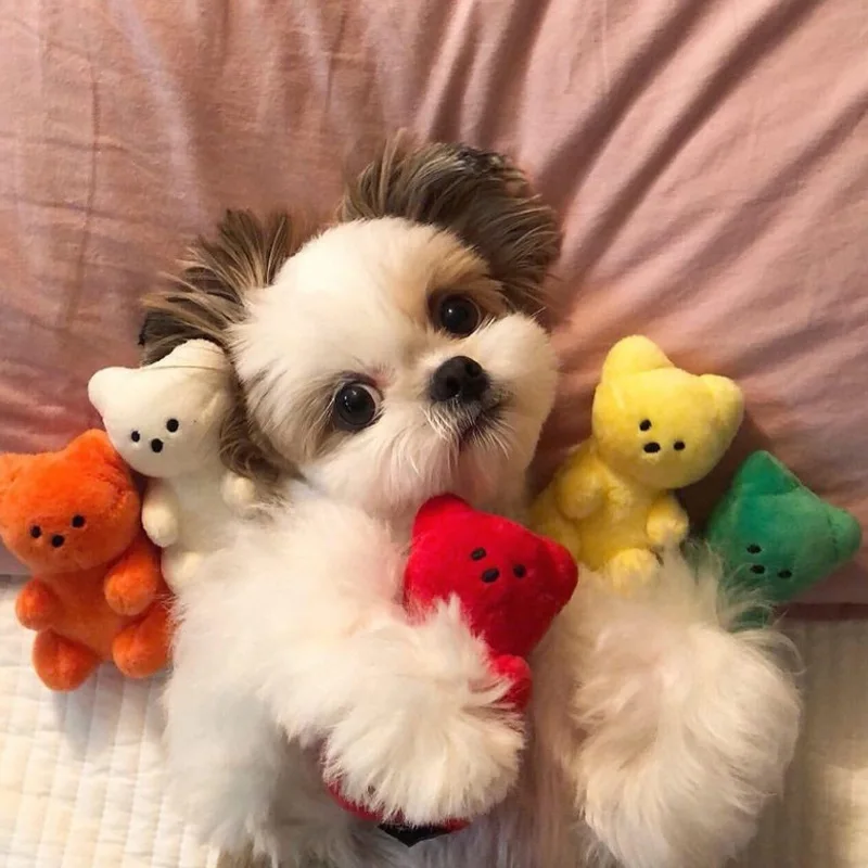 Lindo perro pequeño juguetes chirriantes para perros pequeños cachorro oso en forma de juguete chirriante para perros gatos suministros para mascotas peluche Pomerania Shih Tzu Pug