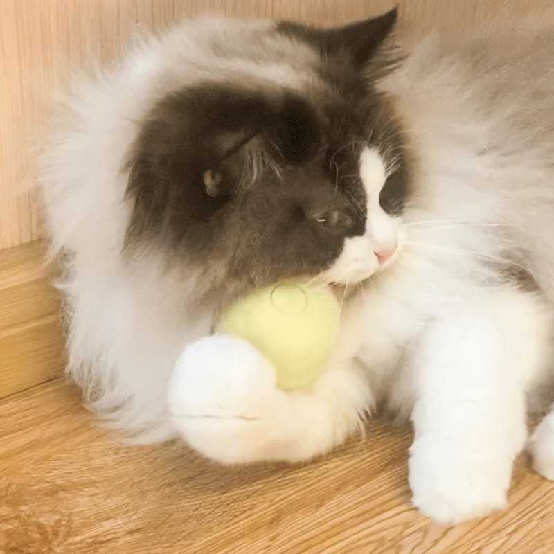 Crazy Cat-juguete de imitación de animales, Bola de sonido para gatos, Ragdoll, Siamés, persa, gatito divertido, tiempo de juego, juguetes para gatos - imagen 5