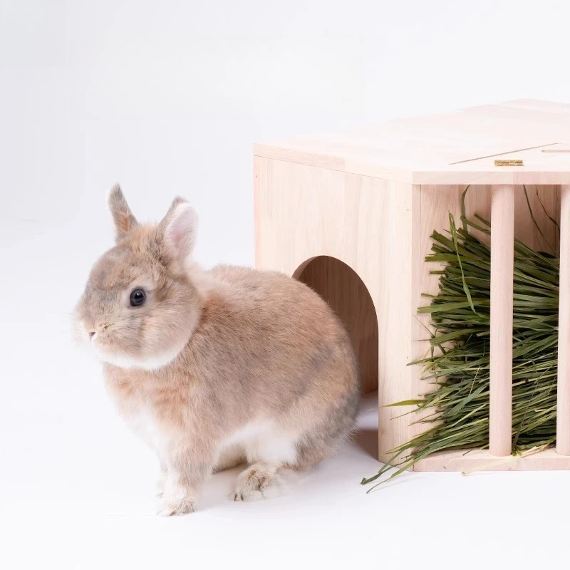 Jaulas de túnel de cerdo holandés de madera para mascotas, accesorios de productos, jaulas transpirables para interiores y exteriores para mascotas, jaulas para casa de animales pequeños - imagen 3