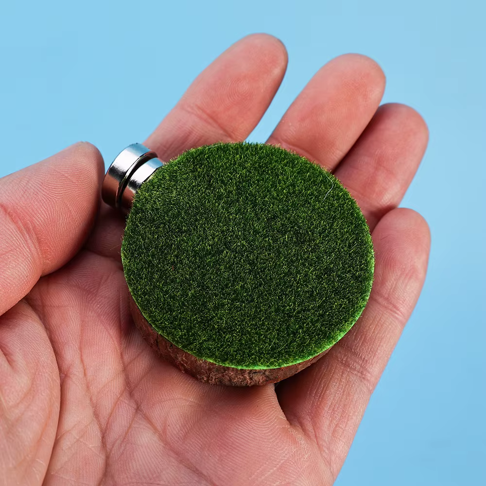 Plataforma magnética de madera para terrario – Para geckos y tarántulas - imagen 4