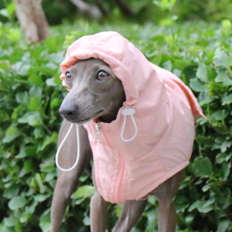Chaleco impermeable con protección solar para galgo italiano - imagen 2