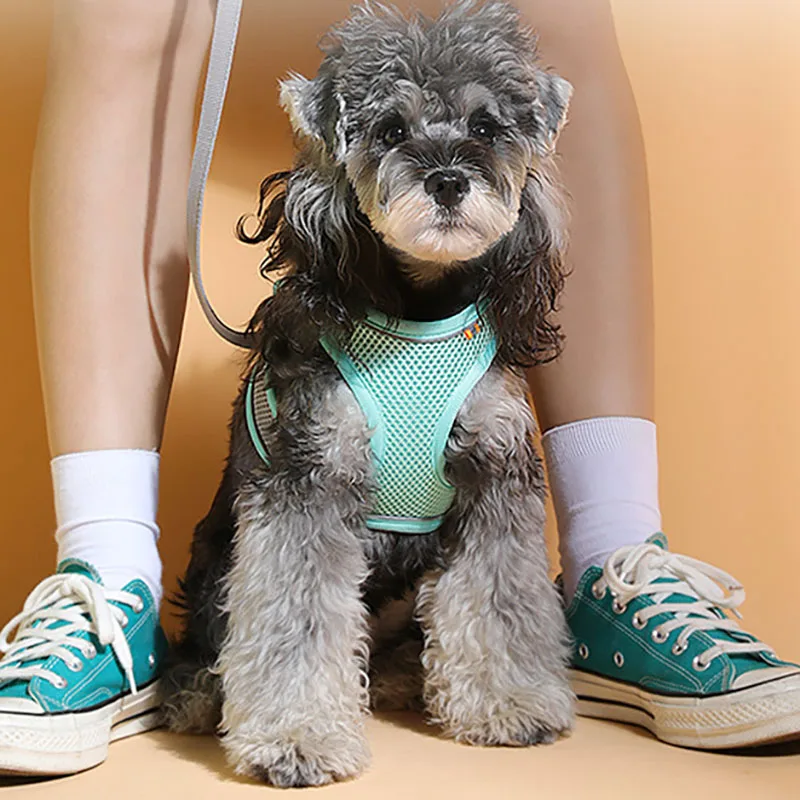 Arnés para perros, chaleco, pecho, collares para gatos, cuerda para perros pequeños, reflectante, transpirable, ajustable, para caminar al aire libre, viajes, suministros para mascotas - imagen 3