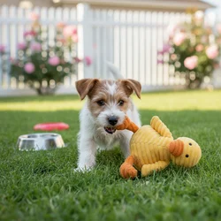 Juguetes peluche chirriantes para perros – Resistentes a mordeduras