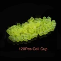 120Pcs Cell Cup