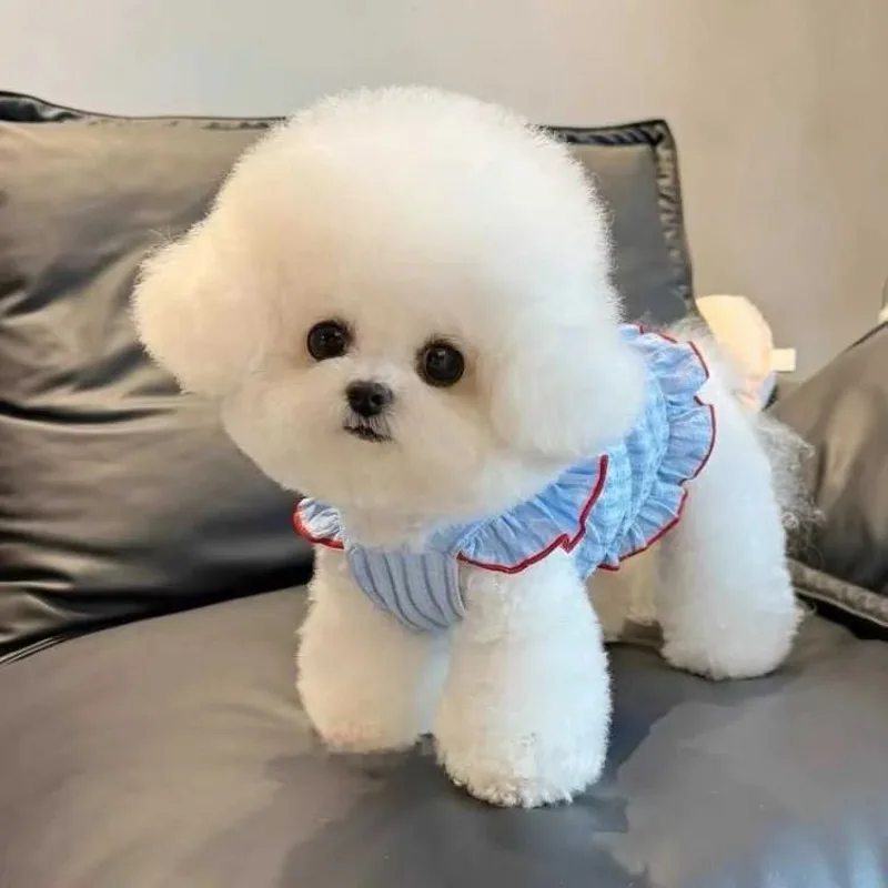 Vestido de falda de princesa para mascotas, ropa fina de verano para perros, Teddy Bichon Pomeranian Schnauzer, ropa para mascotas, vestido para gatos para perros pequeños