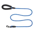 Blue Leash