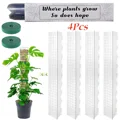 4Pcs-Moss Pole