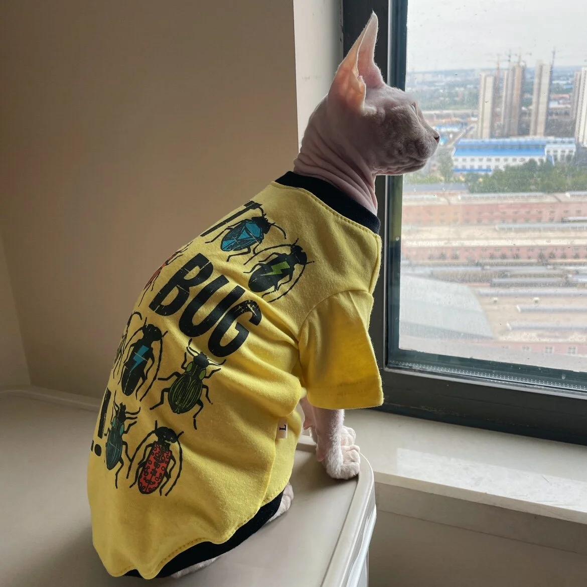 Camiseta de algodón, pijama amarillo para gatos Sphynx y Devon Rex - imagen 2