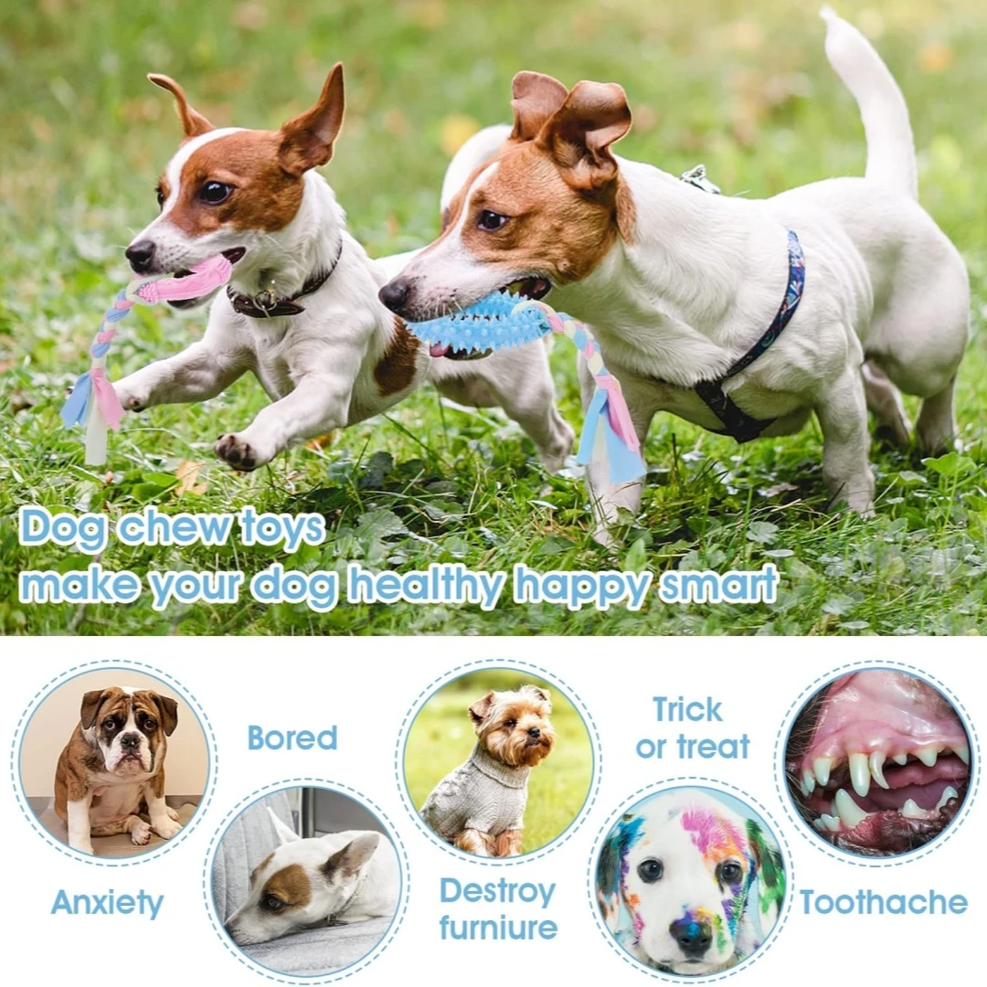 Juego de juguetes de goma para masticar dientes de cachorro, cuerda de algodón interactiva, pin lindo, 4 piezas - imagen 5