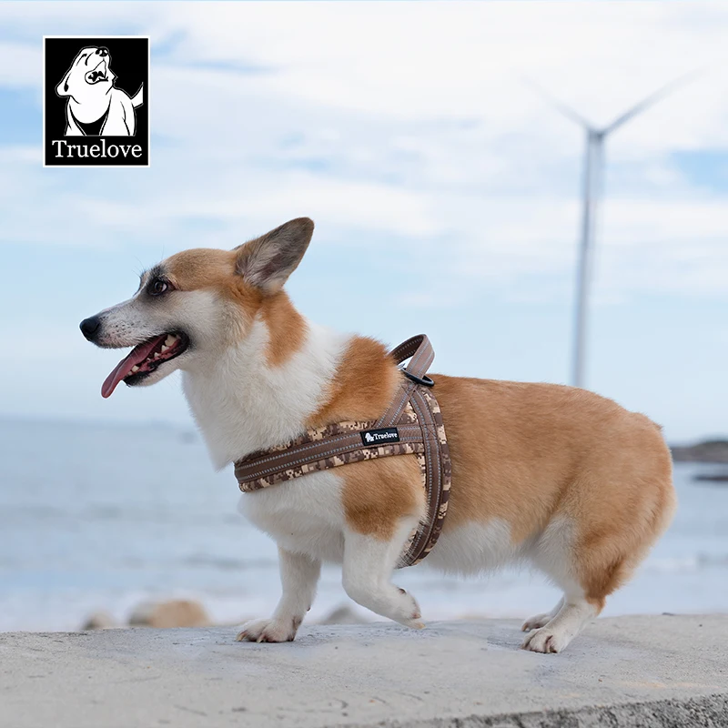 Arnés desde diferentes ángulos