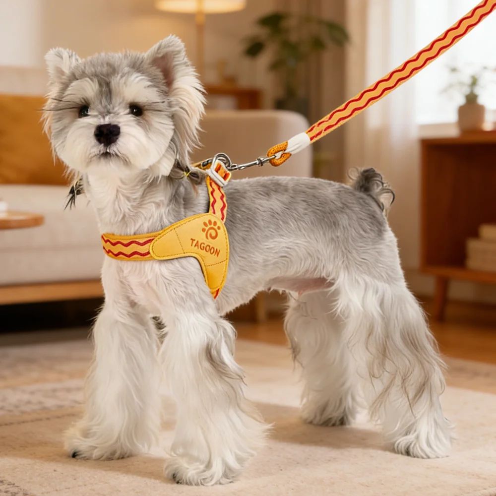 Arnés de malla transpirable para gatos, cachorros, Chihuahua y Corgi