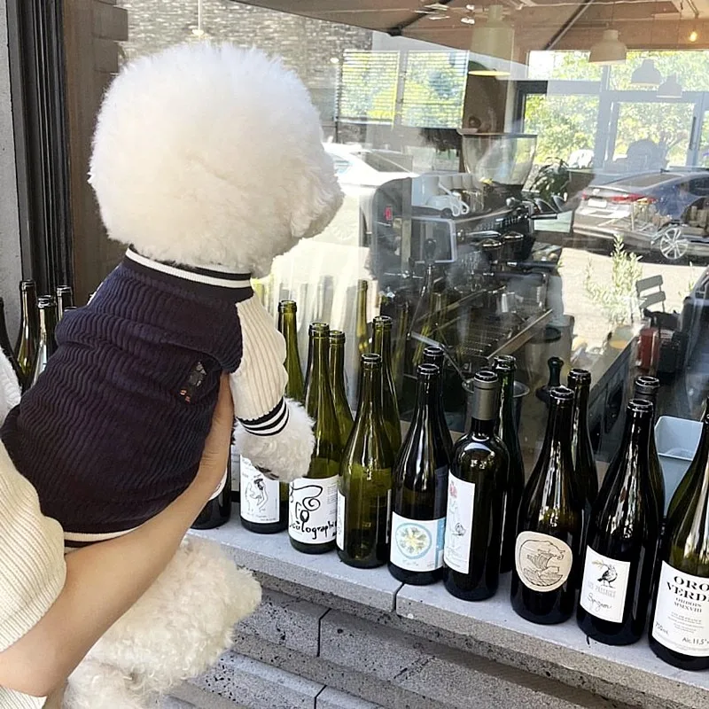 Ropa para perros Ins Wind, ropa de béisbol para otoño, gato de peluche, cachorro pequeño, ropa de otoño e invierno, productos para mascotas - imagen 4