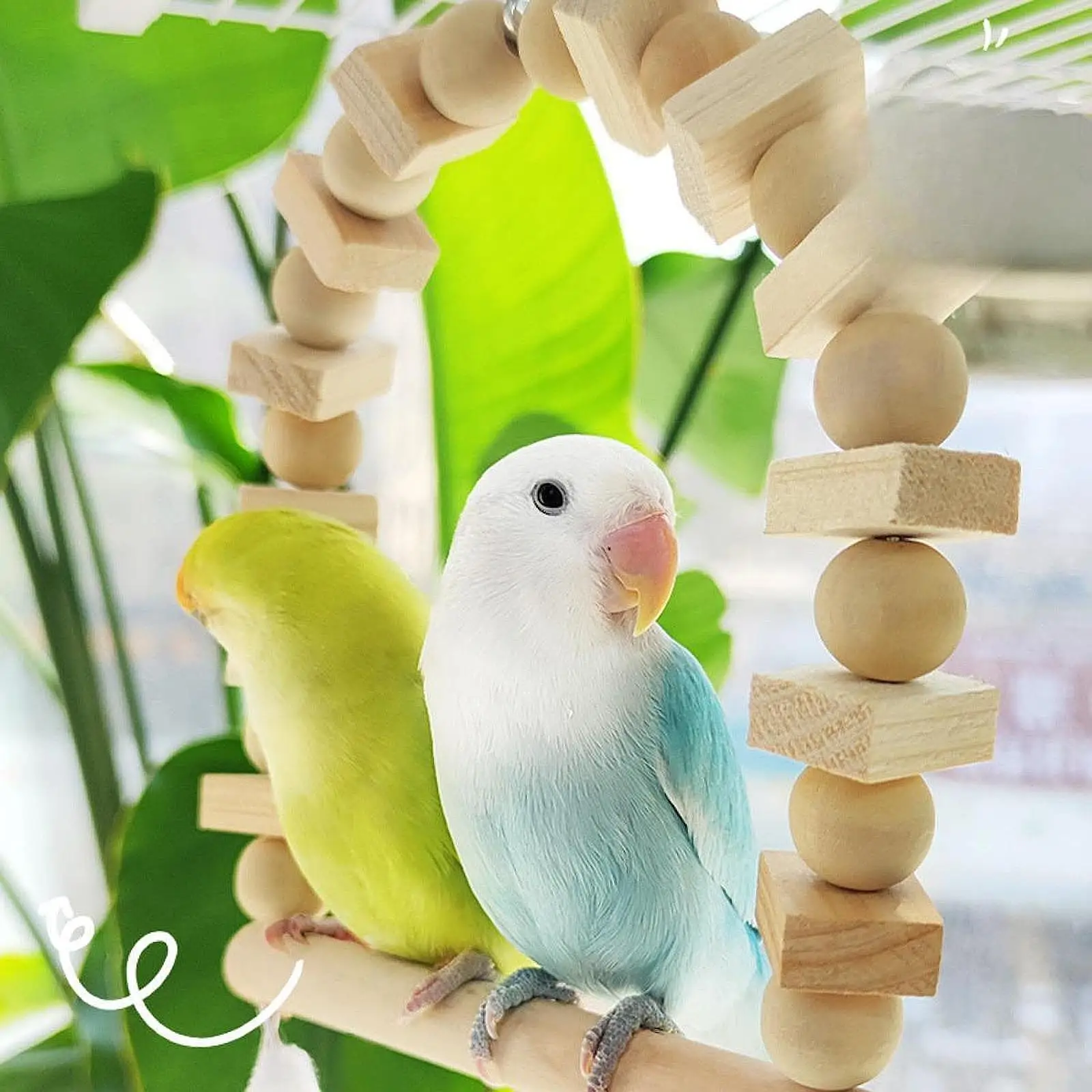 Bird Swing, Wooden Training Toys, Hanging, Standing, Animal Claw Grinding Stand for Parakeet Balance Exercise Training