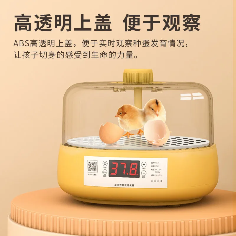 Incubadora automática doméstica para huevos – Fácil uso - imagen 4