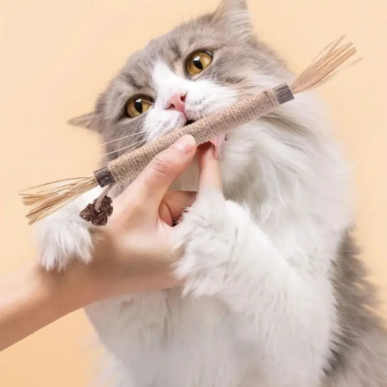 Juguetes para masticar para gatos, juego de palos Polygonum naturales con campana de plumas de rafia de Sisal para la salud Dental, alivio del estrés, respetuoso con el medio ambiente - imagen 2