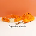 collar and leash set