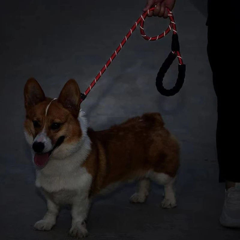 Correa de nailon para entrenamiento de perros grandes P Chian, correa resistente para mascotas para perros medianos y grandes, correas para pastor Labrador, accesorios para mascotas - imagen 3