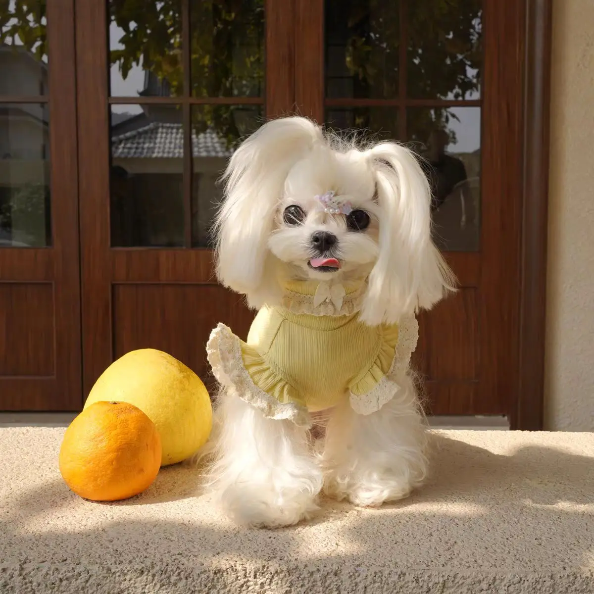 Falda de encaje tejida de princesa para mascotas, camisa inferior con manga voladora para perros, camiseta sin mangas de peluche para gatos, ropa para cachorros de primavera - imagen 3