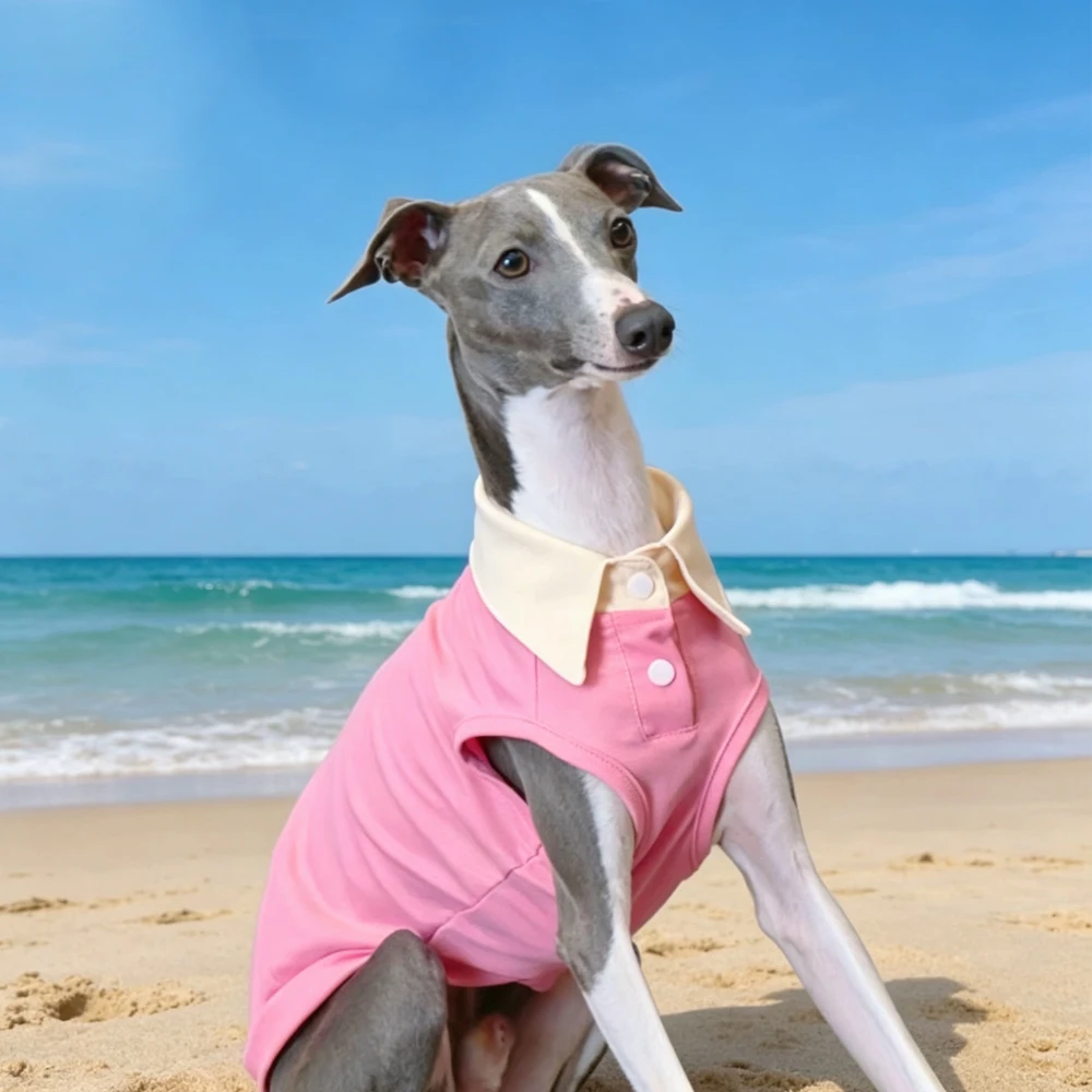 Camiseta sin mangas para Galgo Italiano y Whippet – Verano canino - imagen 3
