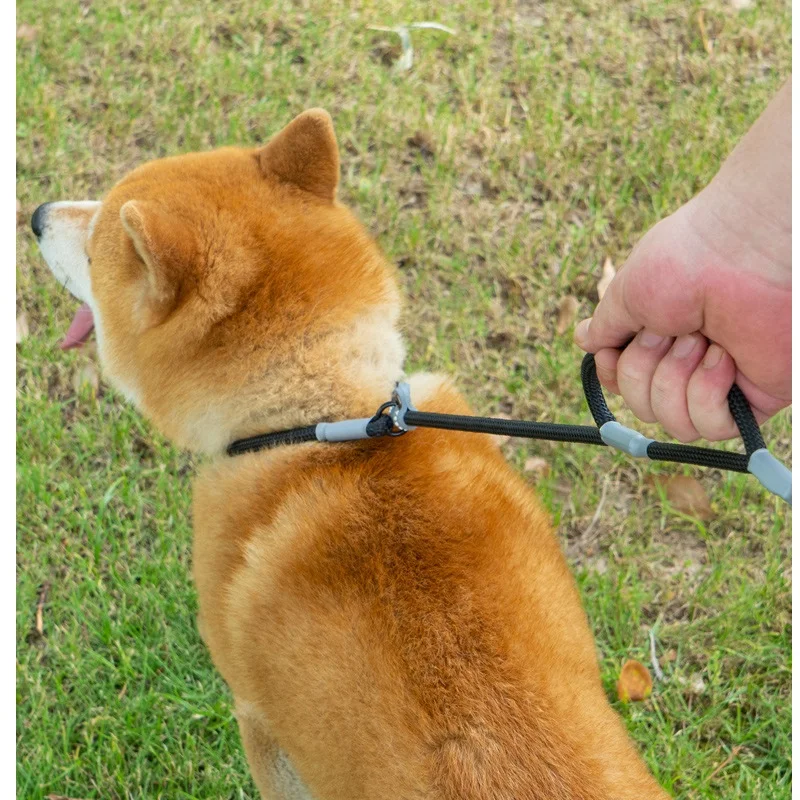 Cuerda P de una pieza para perro, Correa ligera para caminar al aire libre, ajustable, colores Macaron, duradera, de tracción, antideslizante - imagen 4