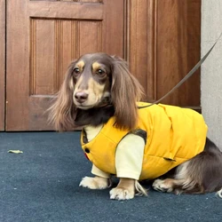Chaqueta forro polar cortavientos con botones perro Dachshund