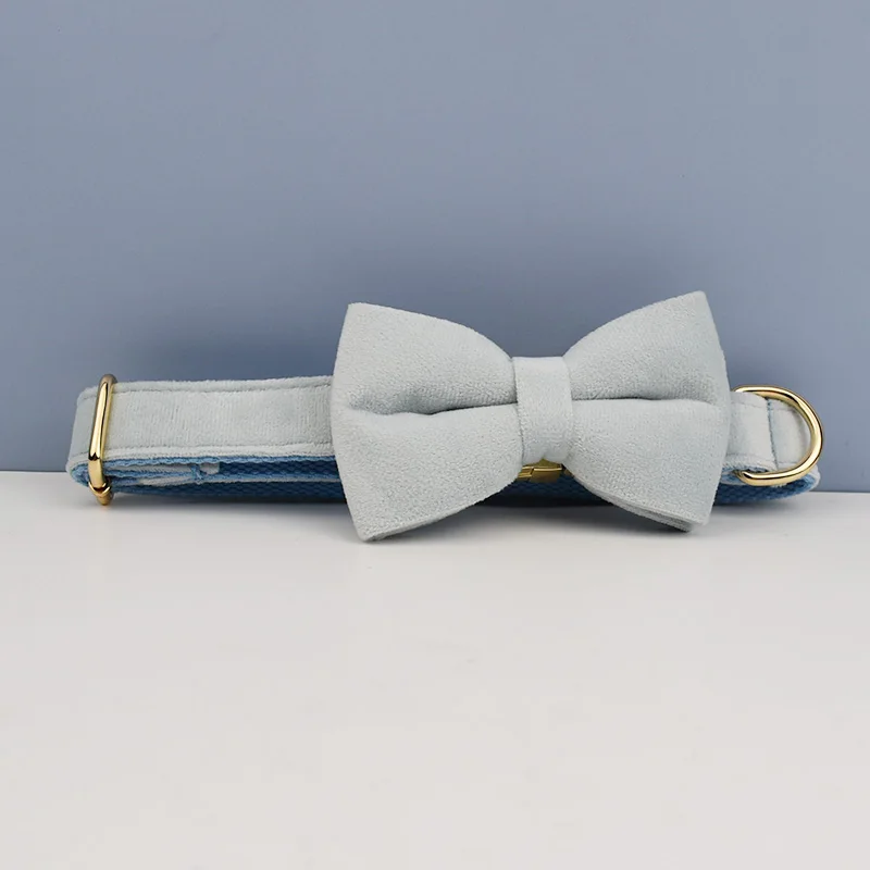 Juego de Collar y correa de terciopelo azul claro para perros, placa de identificación grabada personalizada, suministros para mascotas, correa para perros Velvet35 - imagen 5