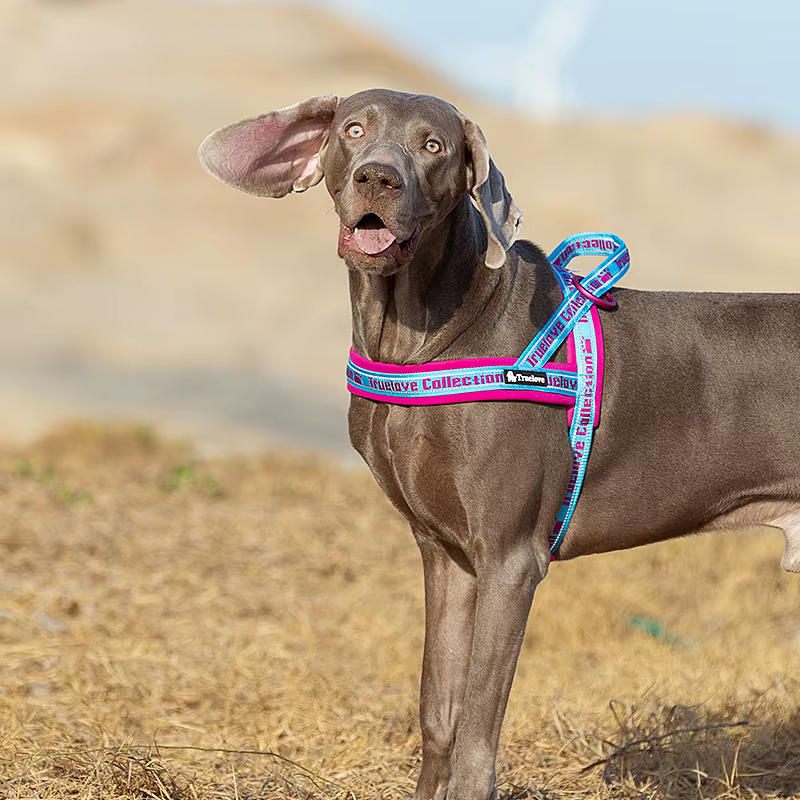 Arnés reflectante sin tirones para perros – Senderismo y aire libre - imagen 4