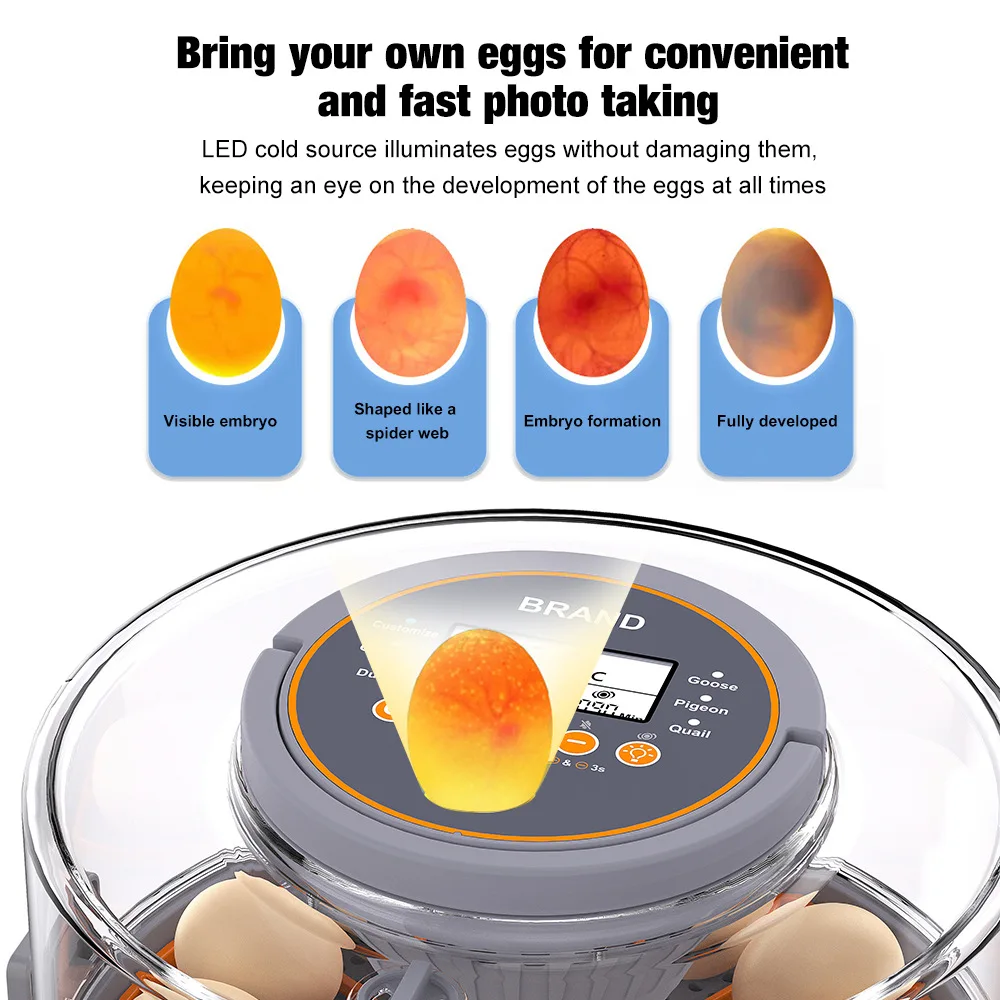 Incubadora inteligente de huevos de temperatura constante, incubadora automática de pollos, patos y gansos pequeños, productos para mascotas, suministro de animales de granja - imagen 2