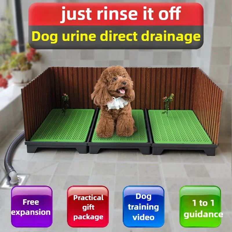 Inodoro para perros grandes con pared envolvente y alfombrilla - imagen 3