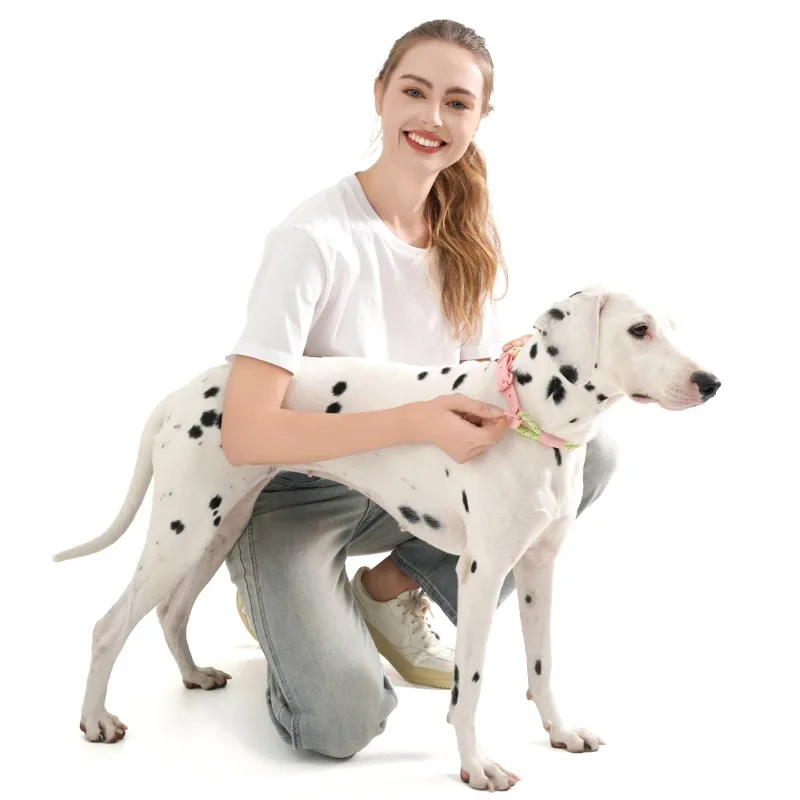 Collar para mascotas, correas de nailon a la moda, Collar de plomo para perros, correas hechas a mano de estilo caramelo, anillo de cuello de PVC, suministros para perros impermeables y geniales - imagen 3