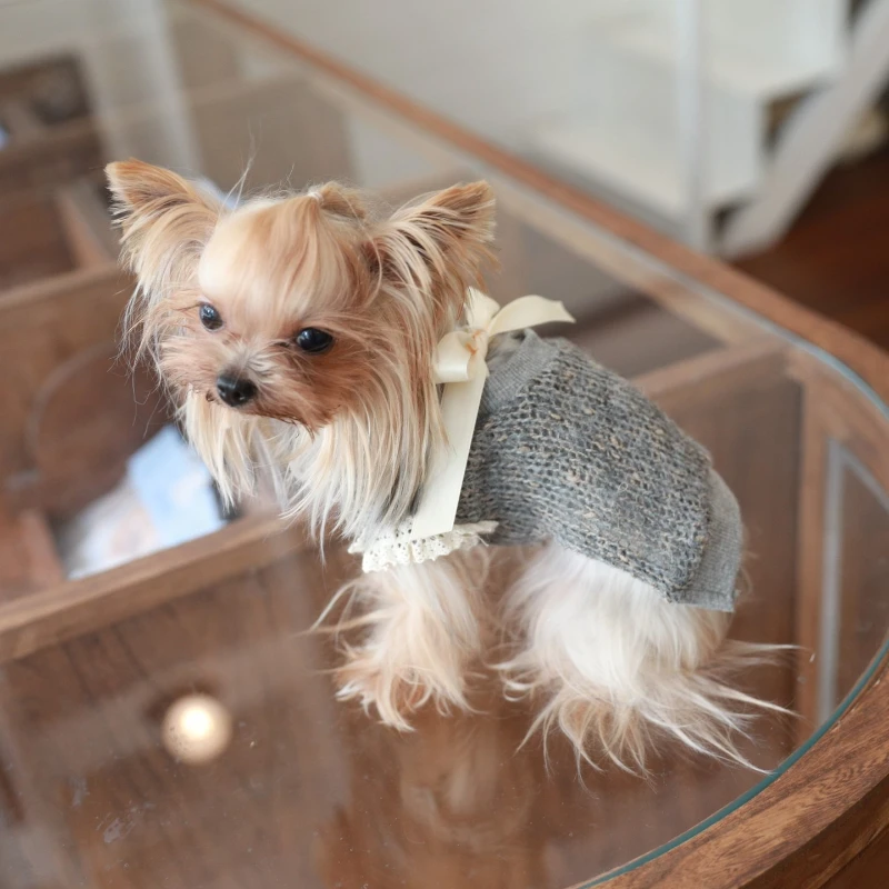 Ropa de lujo para perros, Otoño Invierno, ropa para perros pequeños, suéter para cachorros, Chihuahua, accesorios de ropa para gatos, suministros de productos - imagen 4
