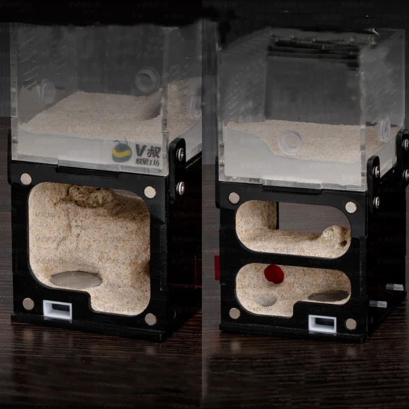 Nido de hormigas de expansión infinita Vertical para granja de hormigas de hormigón con torre de agua, casa de hormigas, taller de insectos, olla de miel, perrera de hormigas - imagen 5