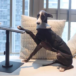 Chaqueta de invierno para galgo italiano - Resistente al viento y agua