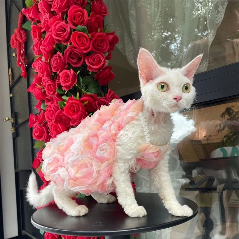 Vestido de princesa rosa de verano para gatitos, vestidos veraniegos suaves y transpirables de doble capa para disfraz de fiesta Devon Rex para gato Sphynx - imagen 2