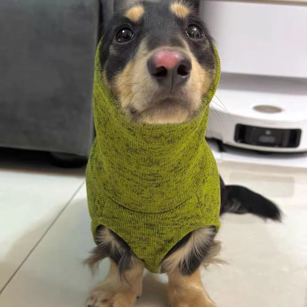 Abrigo perro salchicha verde cuello alto – Chaqueta cálida y elegante - imagen 3