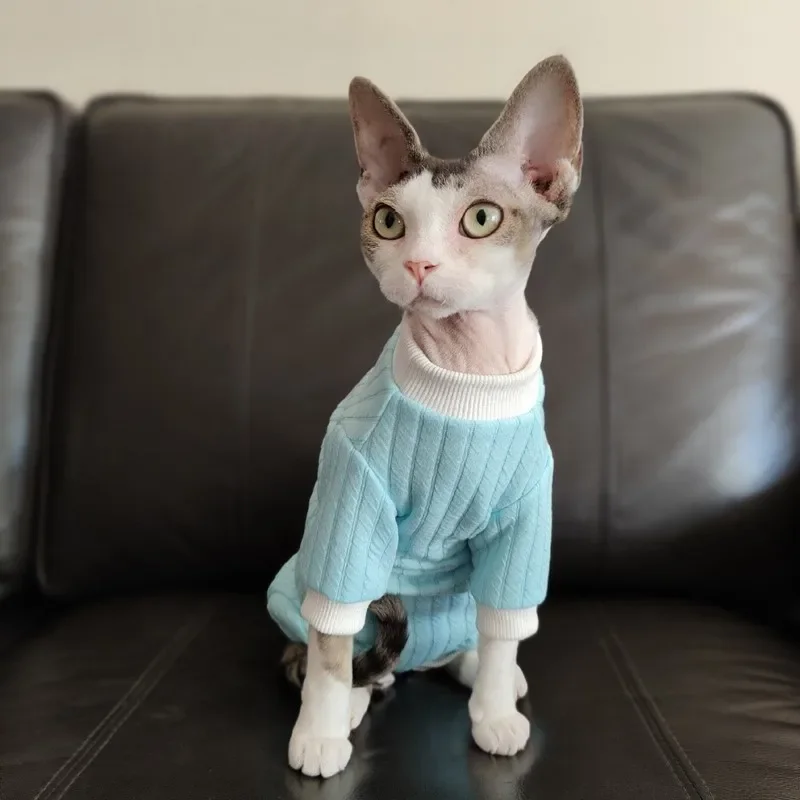 Ropa de cuatro patas Proteger el abdomen para gato sin pelo en primavera Sudadera cálida amarilla para gatitos Abrigo azul claro para esfinge - imagen 3