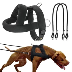 Arnés de tracción para perros medianos y grandes – Ajustable