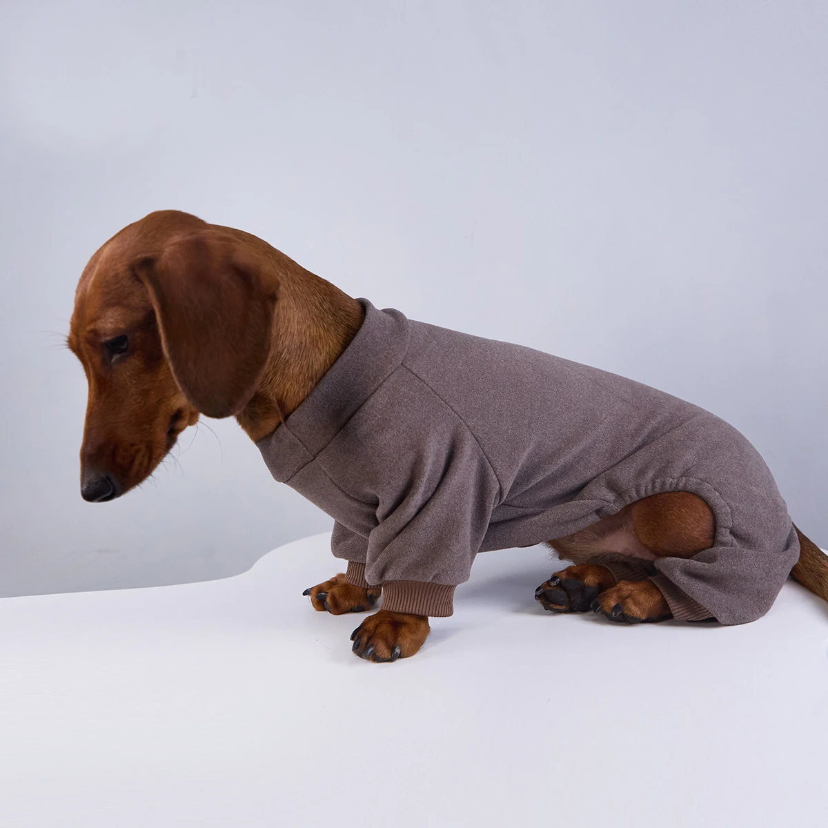 Mono forro polar para perros Salchicha – Cálido y ajustado - imagen 4