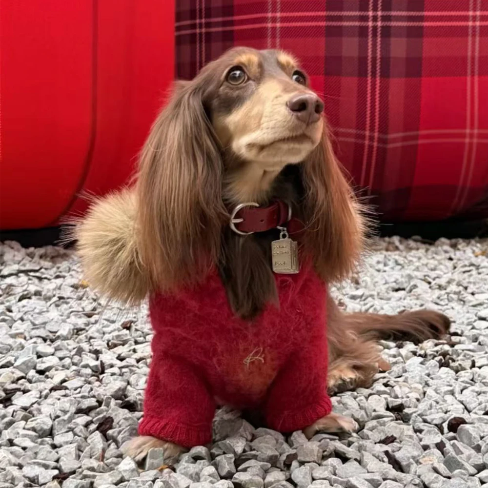 Suéter con capucha y peluche para perros dachshund-abrigo rojo cálido - imagen 3