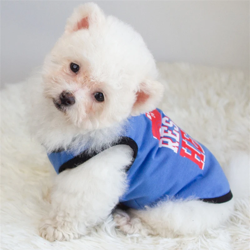 Chaleco de algodón de verano para mascotas, camisetas con estampado de letras para perros pequeños y gatos, ropa para cachorros - imagen 5