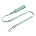 leash