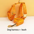 Harness leash