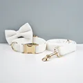 Bow Collar Leash12
