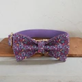 Dog Collar Bow Tie