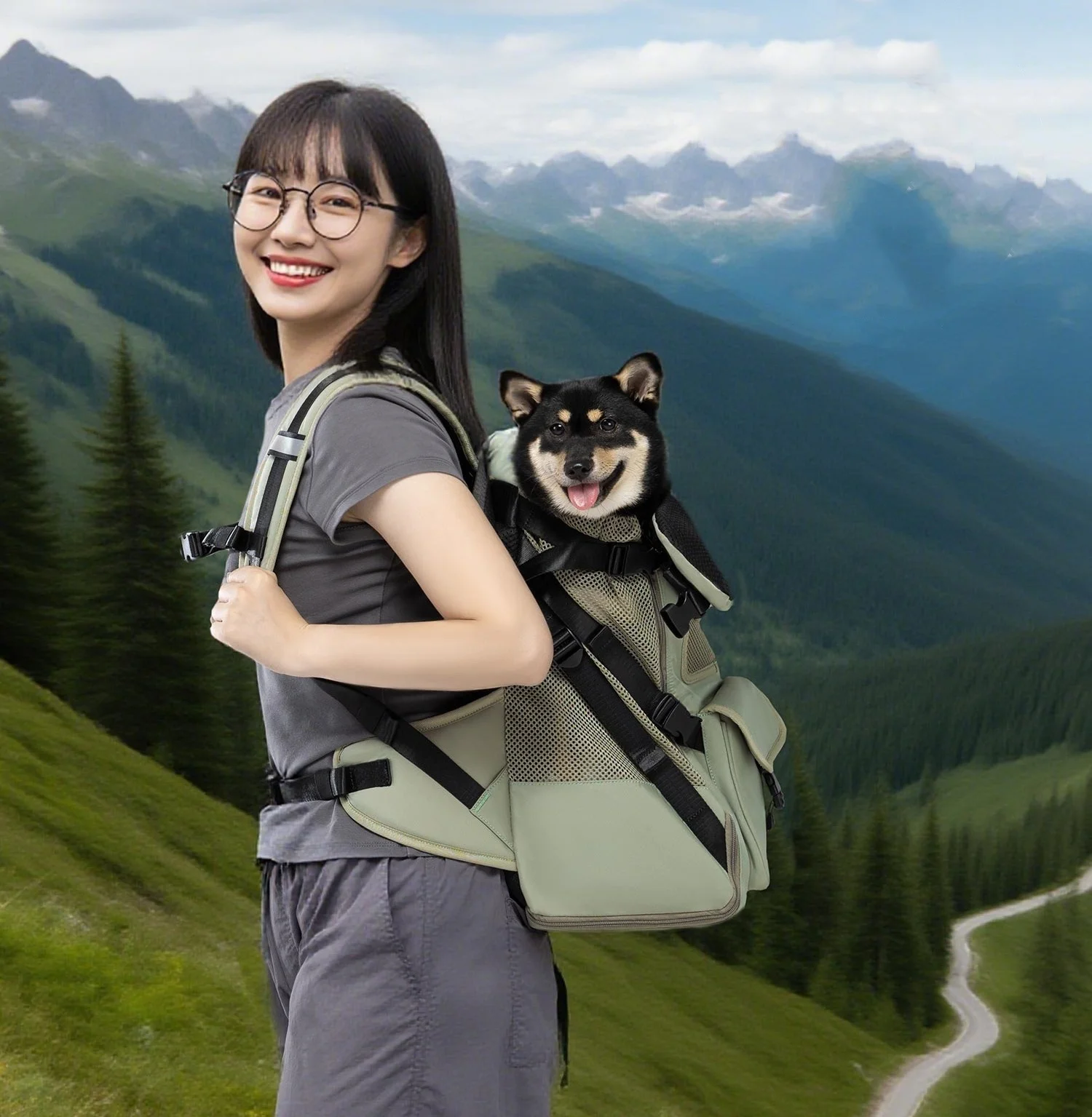 Mochila vertical para mascotas, mochila para senderismo al aire libre para perros de gran capacidad, bolsa impermeable para el pecho para perros, bolsa transportadora transpirable para mascotas
