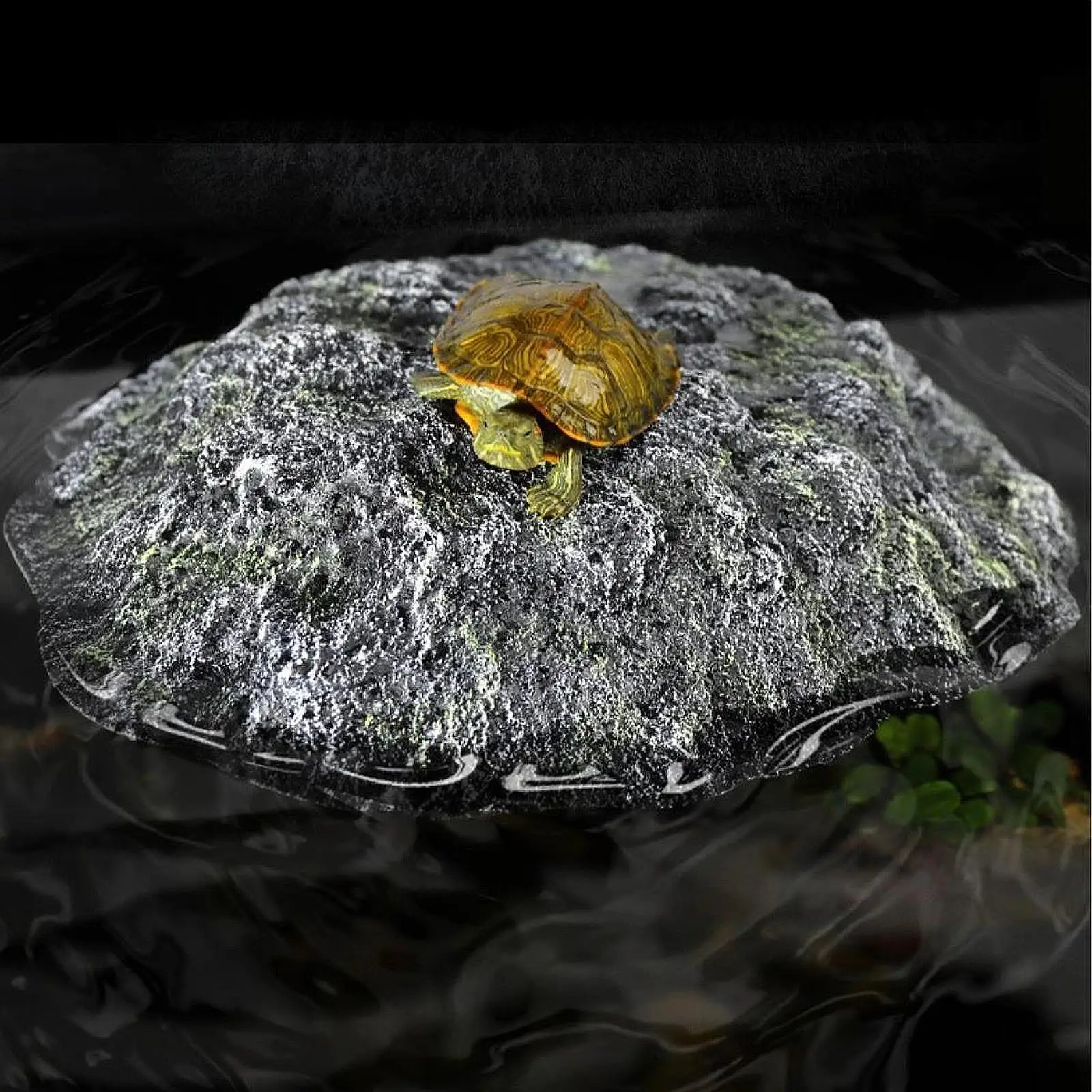 Turtle Basking Platform Sturdy Reptiles Dock Tortoise Resting Dock Aquarium Decoration for Frog Geckos Terrapin Tortoise Iguanas