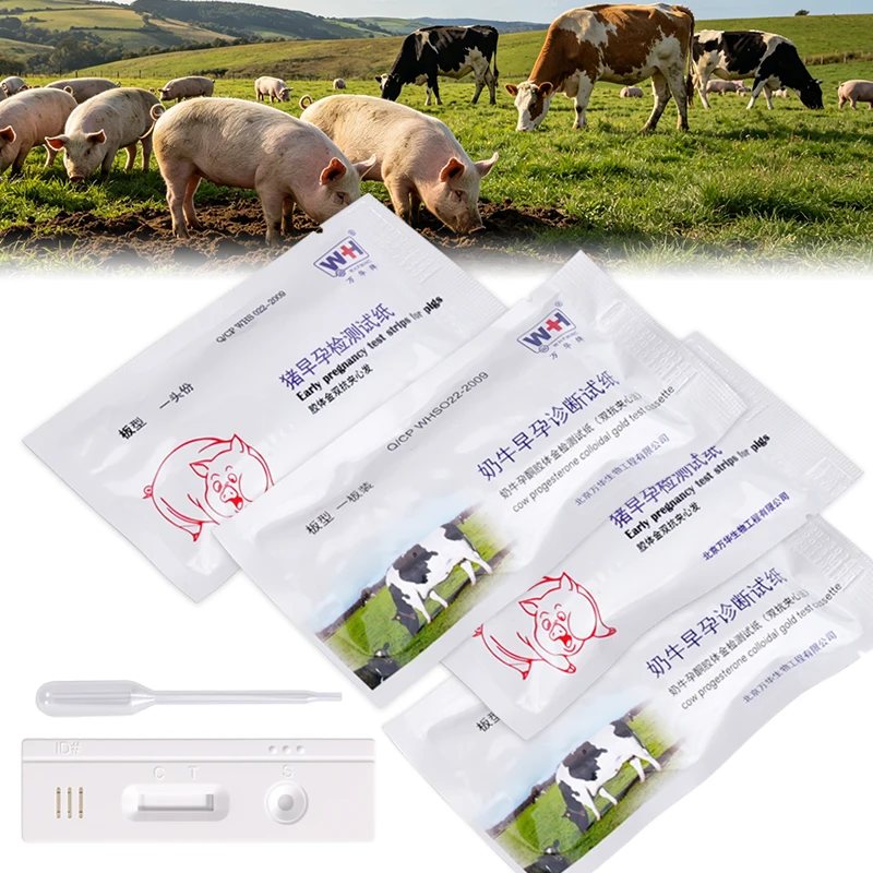 Tira reactiva detección gestación para vacas y cerdas - imagen 5