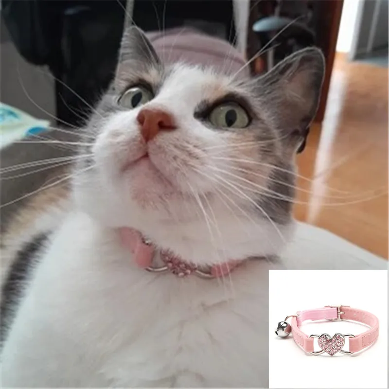 Collar elástico de seguridad para perro, patrón de estampado de garra, campana plateada, terciopelo suave, diamantes de colores, Collar para gato, suministros para mascotas, accesorios