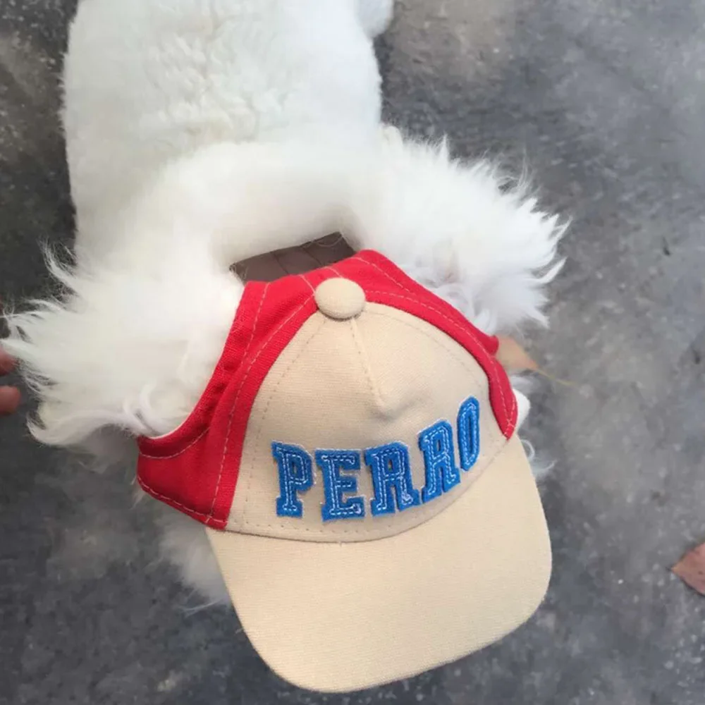 Sombrero de béisbol con visera para mascotas, gorra deportiva con letras, accesorio para Chihuahua, para verano - imagen 2